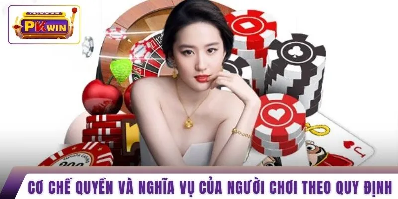Cơ chế quyền và nghĩa vụ của người chơi theo quy định